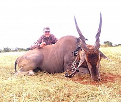 Eland Trophy