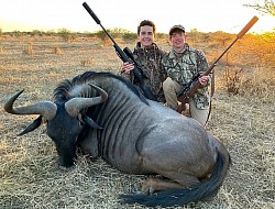 Blue Wildebeest Trophy